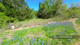 Drone Crash into Wildflower Field in Texas - DJI Avata