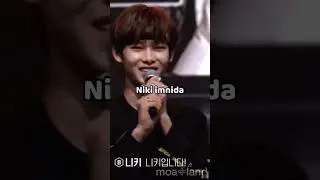 Niki's iconic lines 💗