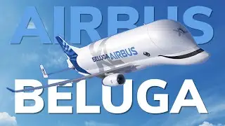 Todo sobre: Airbus Beluga | El avión que transporta otros aviones.