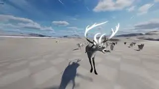 More than human - Wolf Chase v1