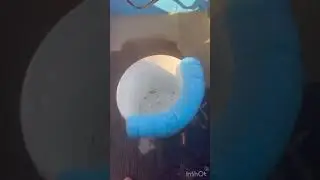 Bırakma ile sargoz avı