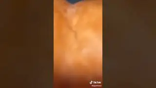 #Егоркрид