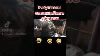 Жесть Результаты дистанционного обучения 😅😅👍👍