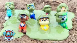 Paw Patrol Mighty Pups Covered in Swamp Mud! Can You Help Us Clean Them?