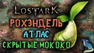 Lost Ark [Коллекции]. ВСЕ МОКОКО НА МАТЕРИКЕ РОХЭНДЕЛЬ!