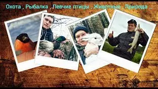Анонс моего канала