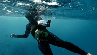 Discovering the beauty of big island's depht