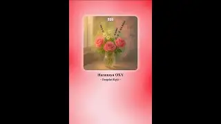The Fragrance of OXY | OXY Perfume | Dangdut Koplo