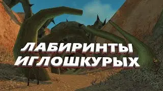 Лабиринты Иглошкурых - WoW Classic