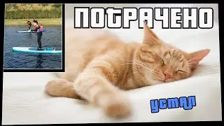 Wasted. Tired. Best jokes 2020, funny videos and fails