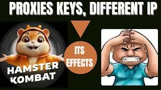 The effect of using Proxies Keys with different IPs on Hamster Kombat