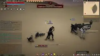 Золотые монеты пустыни. Играем в Black Desert.