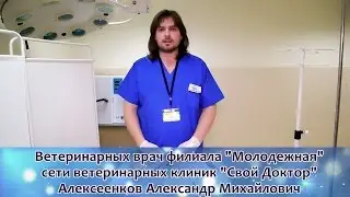 Кишечная непроходимость у животных