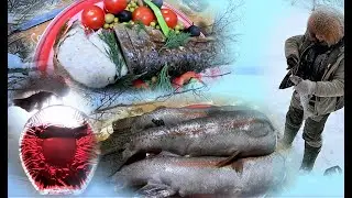 Фаршированная рыба Микижа и домашние настойки!