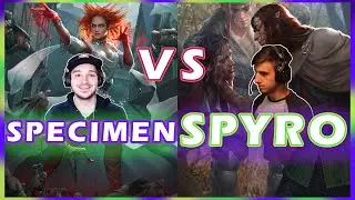 [Gwent] Can I Beat SPYRO? Pro Rank  Streamer Showdown | Specimen Vs. Spyro