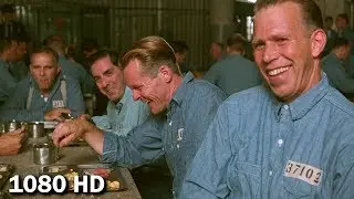 В тюрьме все невиновны, ты что, не знал об этом? | Побег из Шоушенка (1994)