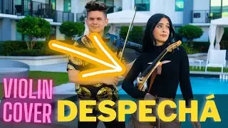 DESPECHA Violin Cover (Final con Sorpresa)