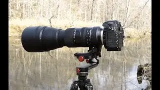 TAMRON 150-600mm G2 lens + PROMASTER GH-25 Gimbal Head