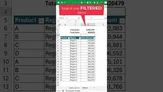 Total value changes based on filtered records #shorts #shortvideo #youtubeshorts #excel #trending