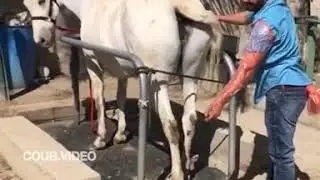 Лучшая работа в мире 🔥