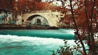 Blue Waters Flowing Under a Bridge #shorts #video #viralvideo #video #viral