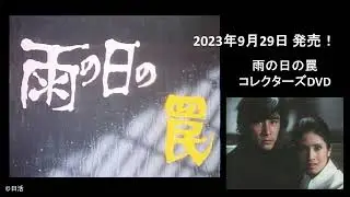 雨の日の罠 コレクターズDVD