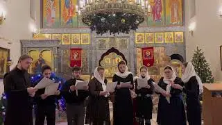 Дева Мария А.Висков