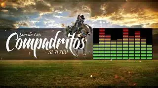 El son de los compadritos Band ADZ de Chiautla de Tapia