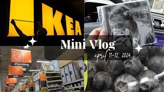 building an ikea kallax shelf, finding lightbulbs, and baby donuts ❀ april 2024 | pasu vlog ep. 4
