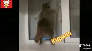 мы с пацанами на дескотеке