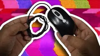 Três experimentos super divertidos usando um mouse!