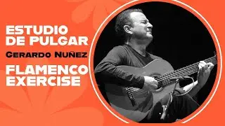 Estudio de Pulgar por Bulerías- GERARDO NÚÑEZ