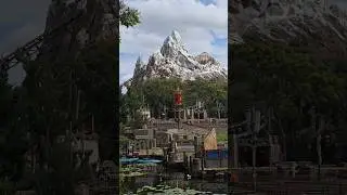 Hurricane Milton Damage at Disney's Animal Kingdom! #shorts