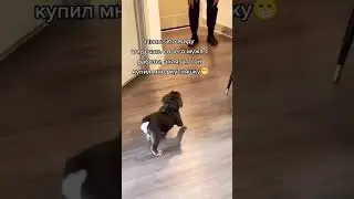 🤣 ИДУ ВСТРЕЧАТЬ МУЖА С РАБОТЫ 🤣 #приколы #shorts