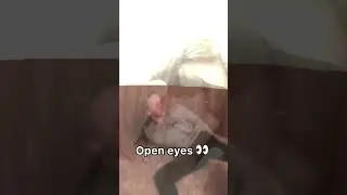 Лю💋❤️‍🔥 #family #meme #edit #видео #love #driftphonk