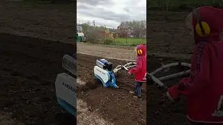 С сыном культивируем землю мотоблоком МБ23 8 фрез #дача #мотоблок