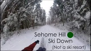 Sehome Hill Ski Down