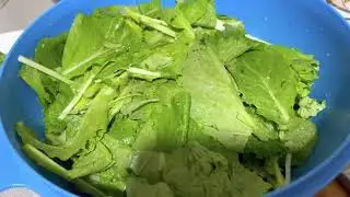 Летний чимчи из пекинской капусты/ Summer chinese cabbage chimchi/