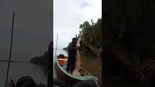 Menjala udang untuk umpan..sisanya di goreng😅