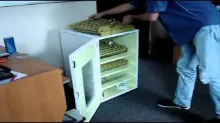 Как самому сделать автоматический инкубатор