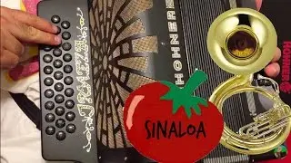 El Sinaloense acordeon (EXPLICADO) instruccional | Tutorial de acordeon