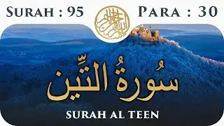 095 . Surah At Tin Full [Surah Teen HD Arabic Text] Tilawat | سورۃ التین
