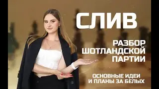 ШОТЛАНДСКАЯ ПАРТИЯ: основные идеи и планы за белых | СЛИВ информации с занятий