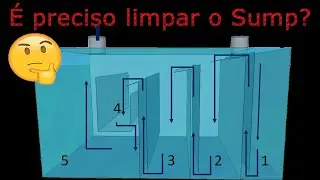 119°- É preciso limpar o sump do seu aquário? entenda!
