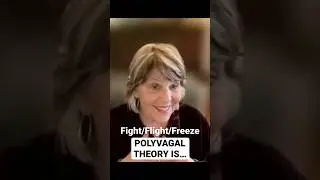 Fight Flight Freeze - Polyvagal Theory 