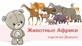 Карточки Домана. Животные Африки