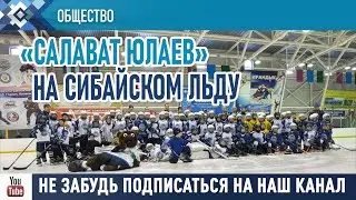 Зелёное сердце Башкирии на Сибайском льду.
