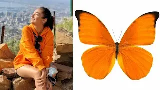 Anushka sen same dress as butterfli