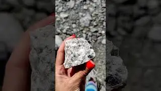 Влюбляем в Алтай! Подписывайся 
