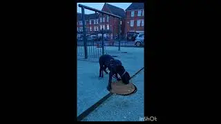 Journey with my Dog Cane Corso